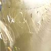 25m x 0.8m Fish Sticky Net Single Layer Fishing Net
