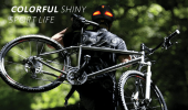 PSWS-T32A. Bicycle Bluetooth helmet