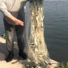 25m x 0.8m Fish Sticky Net Single Layer Fishing Net