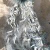 25m x 0.8m Fish Sticky Net Single Layer Fishing Net