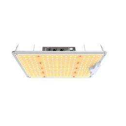 ETL Certified Mingwei Power Supply LM301B Quantum Edition Lamp (Option: )