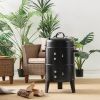 Family And Friends Excursion Beach Camping Campfire Party Grill